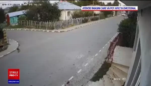Un şofer din Botoşani a trecut cu mașina intenționat peste un cățel: ”Nu există cuvinte sau explicații”