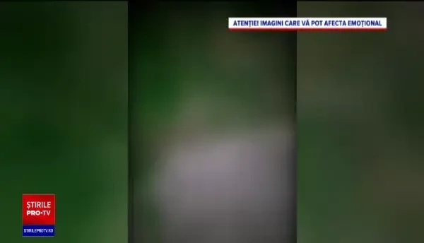 Caz șocant în Botoșani. O familie aduce animale acasă pentru a fi ucise de câinele său de luptă