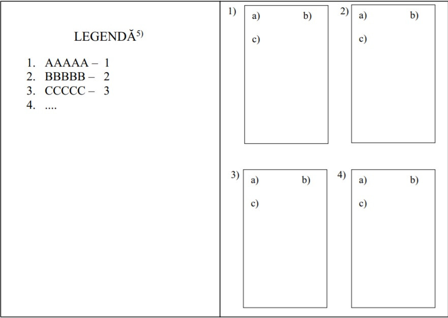 Model buletin de vot consilii locale