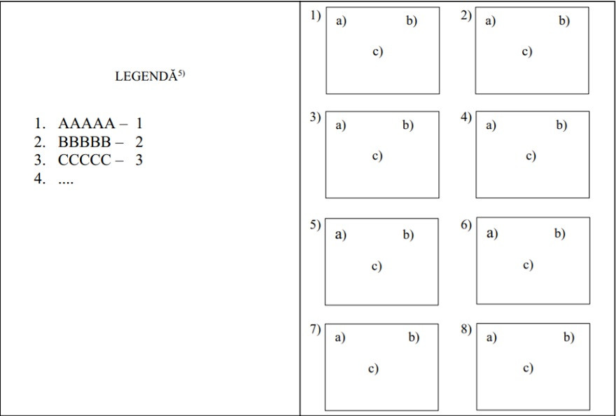 Model buletin de vot primari și primarul municipiului București