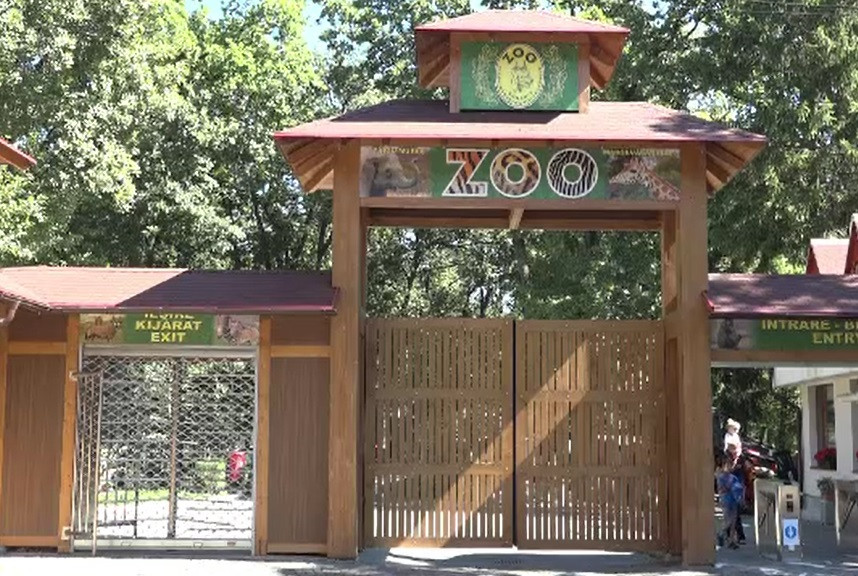 Grădinile Zoologice, punct de atracţie pentru turiştii români în pandemie