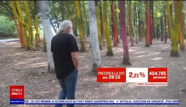 Pădurea colorată, fenomenul unic al unui artist din Gorj. Vin turiști din străinătate să o vadă