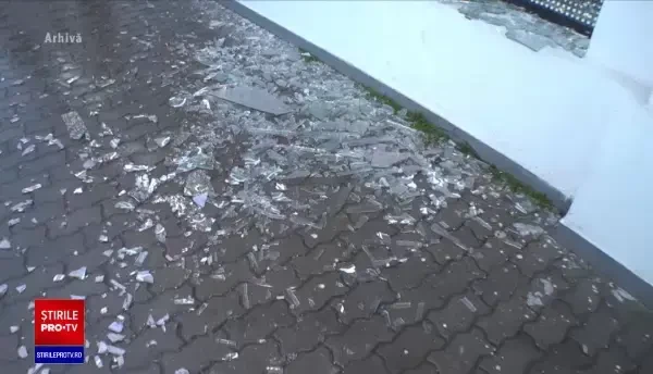 Reacția unui cioban din Bihor când i-a ieșit în cale un bandit căutat în toată Europa