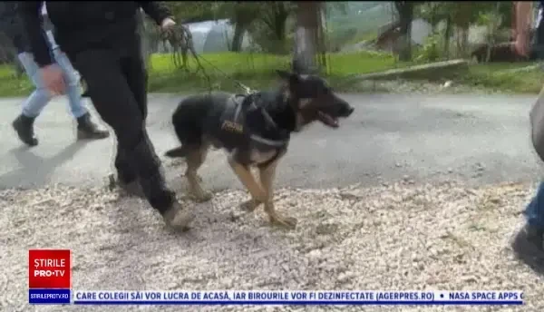 Ce s-a întâmplat cu băiatul de 15 ani care a fugit de acasă după ce a cheltuit 2.000 la jocuri. ”Toată lumea plângea”