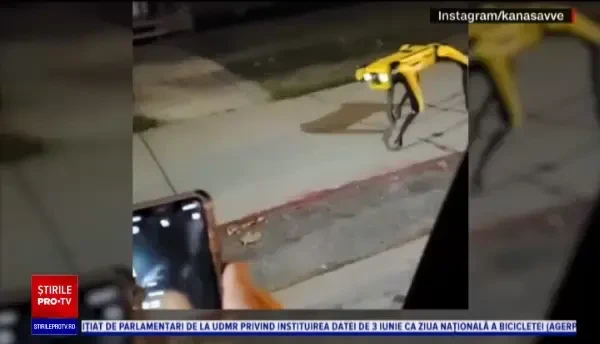 Câinele-robot, întâlnit noaptea pe stradă în Canada. Apariție din filmele SF