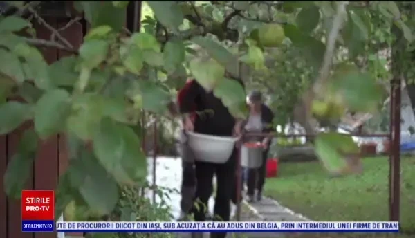 Ținuturile fermecătoare din inima Transilvaniei. Gastronomia și arhitectura îi fascinează pe turiști