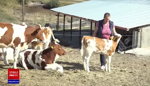 Milioane de euro puse la bătaie pentru ca tinerii să se întoarcă în țară. Cum pot fi accesați