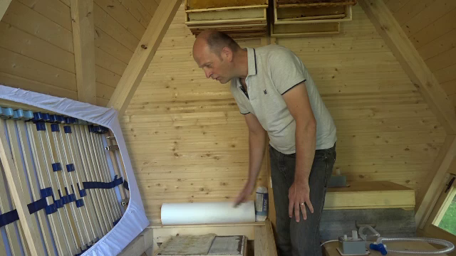 Ce probleme de sănătate poate să vindece terapia prin zumzet de albine