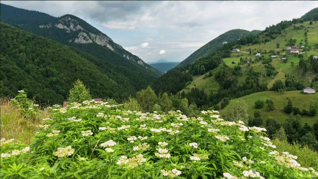 Zonele pitorești de care puțini români știu, ascunse între crestele Bucegilor şi Piatra Craiului