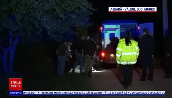 Urs mort într-un sat din Mureș, după ce a fost lovit cu un par de o localnică. Avea răni mai vechi