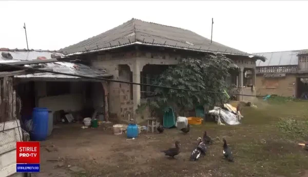 O femeie din Bacău și-a ucis partenerul, după ce a fost bătută în repetate rânduri. „A pus mâna pe o ghioagă și i-a dat”