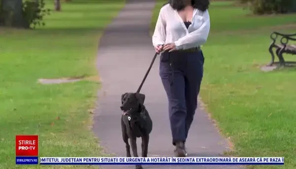 Ce îi motivează pe voluntarii care se infectează cu SARS-COV-2: "Nu-mi prea pasă ce crezi"