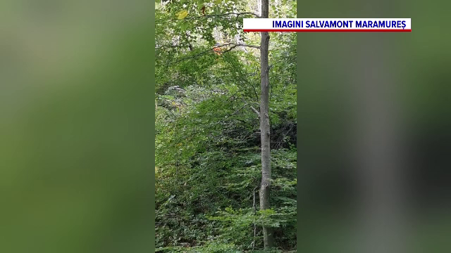 O femeie din Maramureș a fost găsită decedată, la câțiva metri de casă. Familia o dăduse dispărută