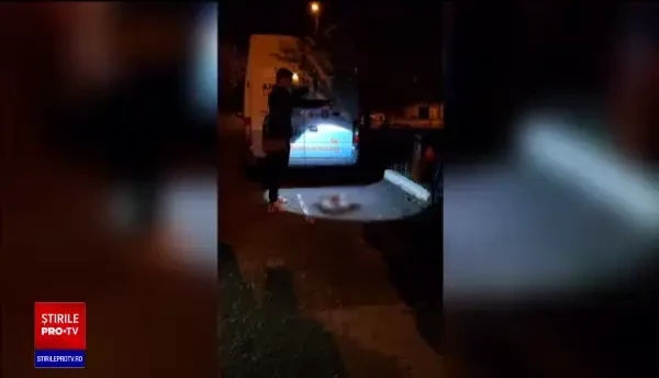 Caz șocant la Galați. Patru căței au fost uciși de un angajat al primăriei, când veterinarul era la masă