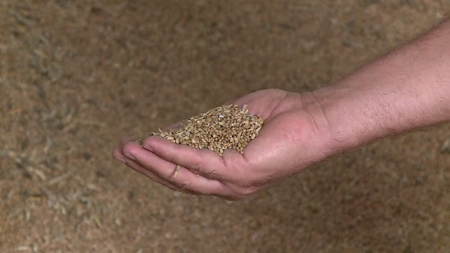 Păgubiți de secetă, tot mai mulți fermieri vând terenurile și utilajele