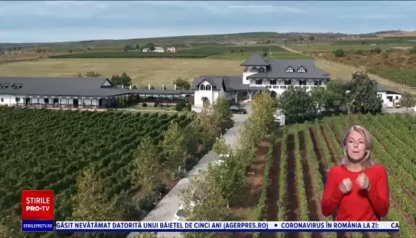 Turismul viticol, una dintre cele mai plăcute experiențe în România: ”E o stare de liniște”