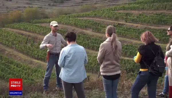 Turismul viticol este la mare căutare printre turiștii români. Cât costă un sejur