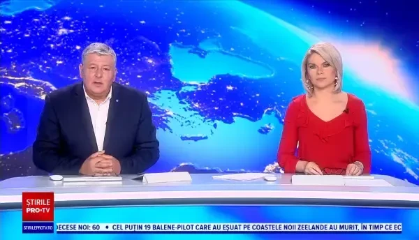 Peste 100 de porci, scăpați dintr-un camion după un accident. Cum s-a întâmplat