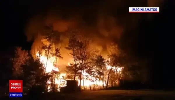 O fostă profesoară universitară a murit arsă de vie, după ce casa ei a fost cuprinsă de flăcări