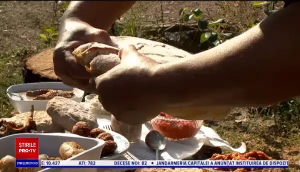 „Satele albastre” din nordul județului Tulcea, un colț de Rai: „O oază de liniște”