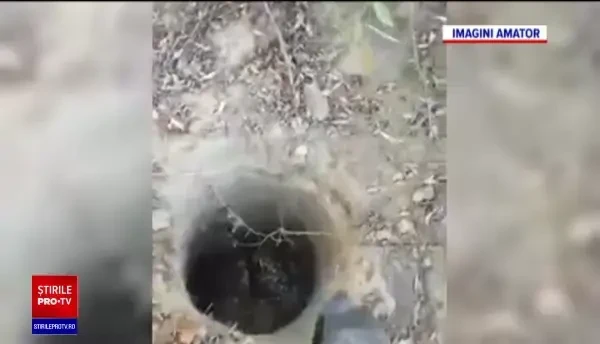 Tone de gunoaie în Delta Dunării, lăsate în urmă de turiști. Au ascuns resturile în tufișuri