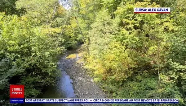 România și peștele care trăiește aici de pe vremea dinozaurilor. Habitatele naturale, în pericol de dispariție