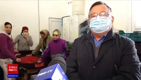 Fructele aflate la mare căutare în pandemie. România trimite producția la export