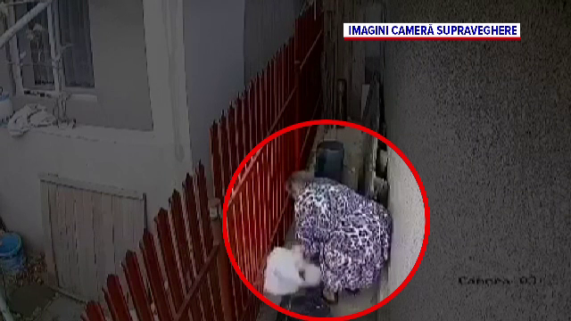 Două surori pensionare din Galați au răpit căţelul vecinilor pentru că le deranja lătratul lui