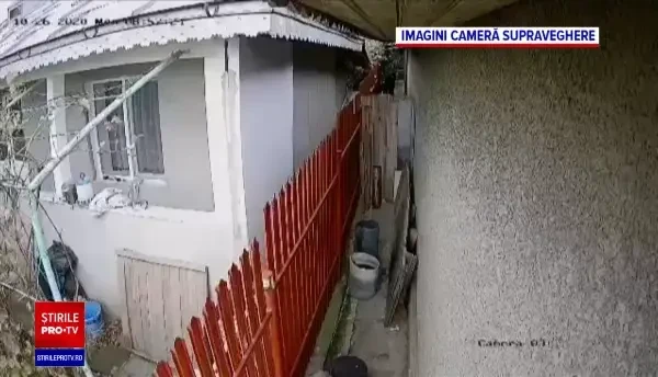 Două surori pensionare din Galați au răpit căţelul vecinilor pentru că le deranja lătratul lui