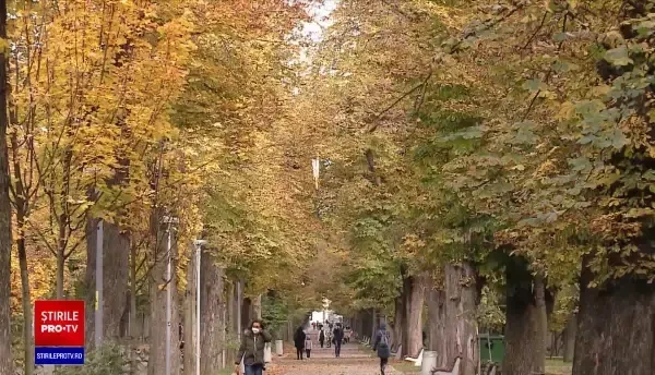 Studiu: Oamenii sunt predispuşi să încalce regulile care îi protejează de Covid în familie sau între prieteni