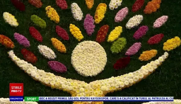 Cea mai mare expoziție de flori de toamnă din România, la Grădina Botanică din Iași