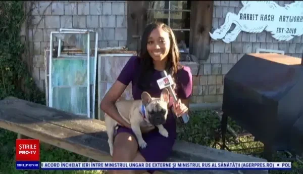 Locuitorii unui orăşel din Kentucky, SUA, au ales un câine pentru postul de primar