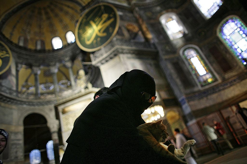 Celebra pisică Gli, de la Sf&acirc;nta Sofia, a murit la v&acirc;rsta de 16 ani. &rdquo;Nu te vom uita niciodată&rdquo;