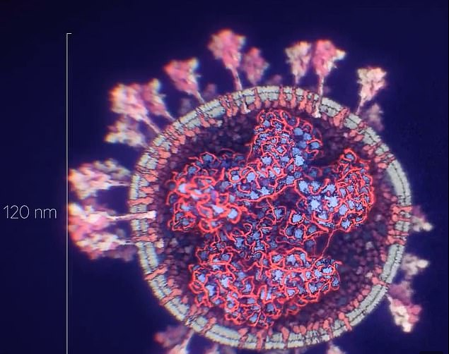 coronavirus microscop