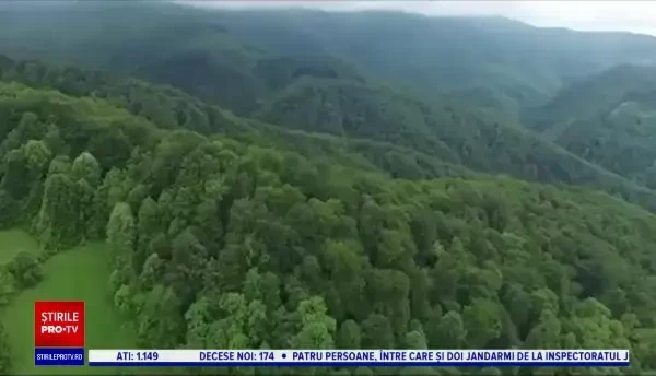 Țara Făgetului, zona unde vă puteți bucura de peisaje spectaculoase și bunătăți de la localnici