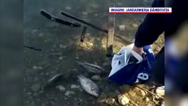 Doi bărbați din Dâmbovița ieșiți la pescuit s-au ales cu dosare penale. Ce au făcut