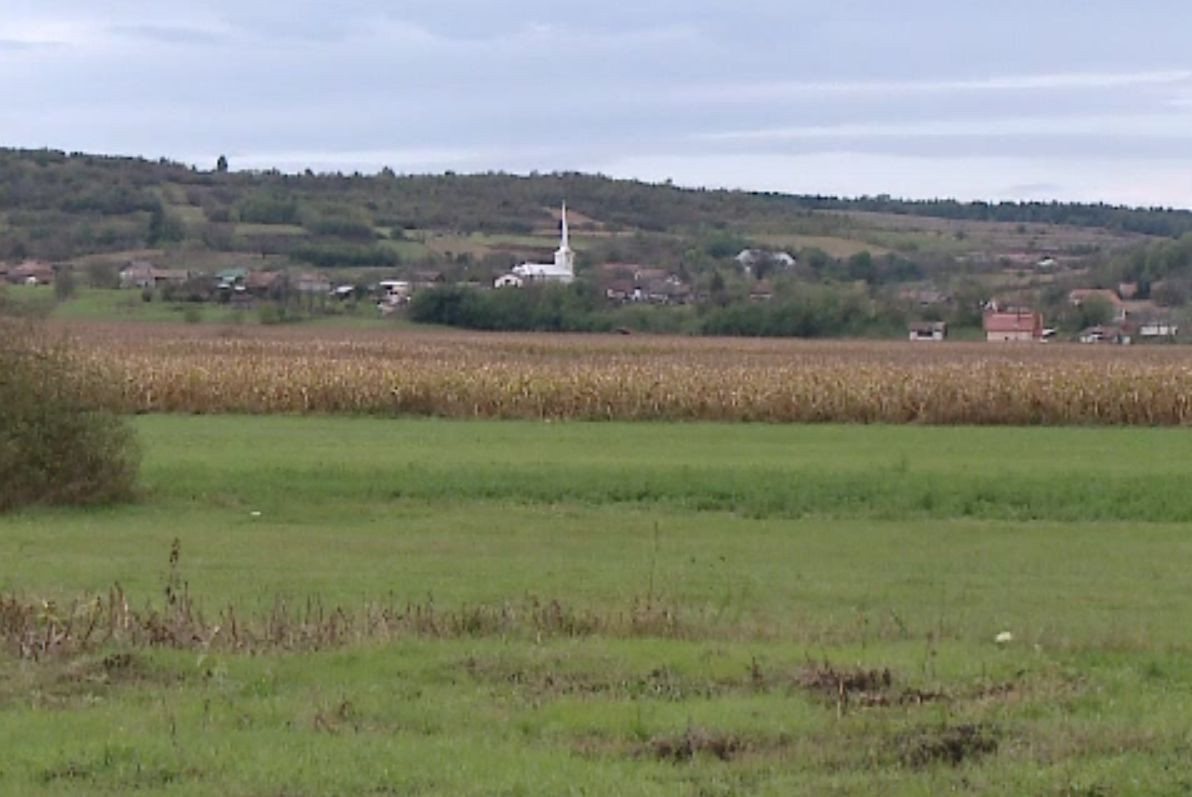 Dezastru în agricultură. Fermierii încep să-și vândă terenurile, din cauza secetei și a pandemiei