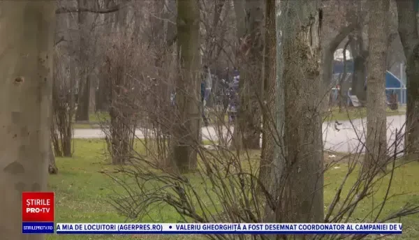 Horoscop 18 noiembrie 2020, cu Neti Sandu. Săgetătorii vor primi o sumă importantă de bani