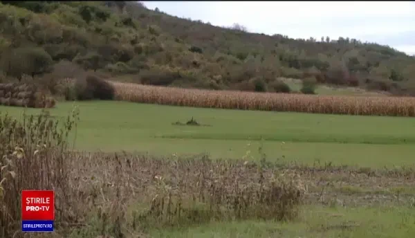 Dezastru în agricultură. Fermierii încep să-și vândă terenurile, din cauza secetei și a pandemiei
