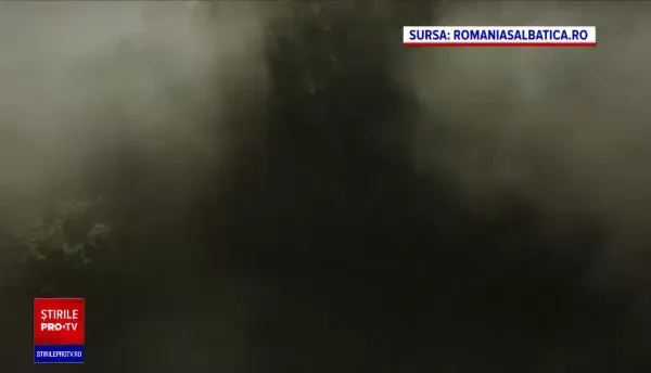 Documentarul "România Sălbatică". O călătorie uimitoare în locuri de o frumuseţe ireală din toată ţara