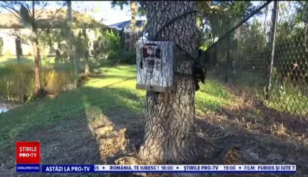 Un american de 74 de ani s-a luptat cu un aligator ca să-şi salveze câinele. VIDEO