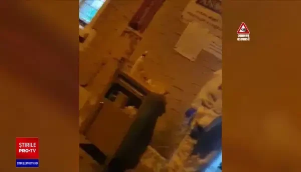 Familiile morților de Covid-19, obligate de angajații spitalului să cumpere sicrie de peste 1.000 de lei