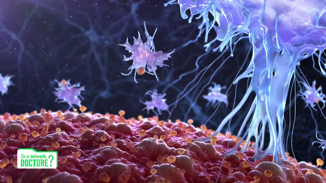 Cum funcționează vaccinurile împotriva Covid-19, odată ajunse în organism