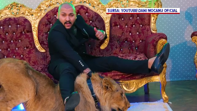 Leul din clipul lui Dani Mocanu a fost confiscat. Poliţia a mai găsit încă 8 lei, într-un sat din Dâmboviţa