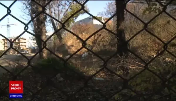 Nicușor Dan anunță că nu se va mai construi pe spațiile verzi din Capitală. "Este o promisiune"