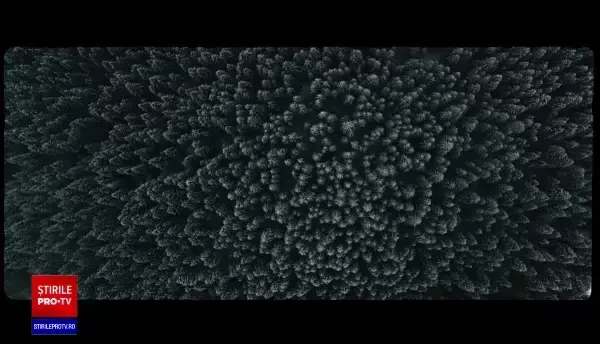 VIDEO. Trupa Subcarpați susține petiția ”Vrem colectare selectivă a deșeurilor în școli”