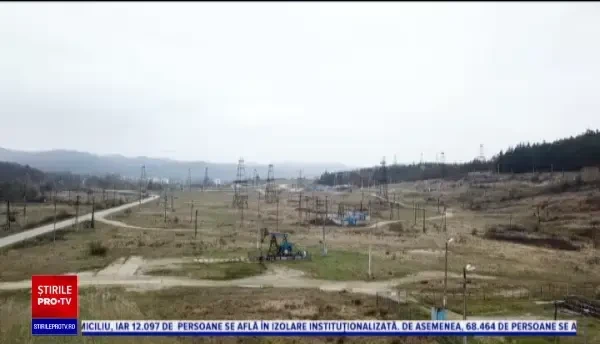 Antreprenor de succes, la 25 de ani. Povestea celui mai mare cultivator de mure din județul Gorj