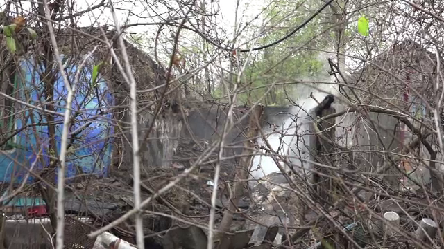 O bătrână a ars de vie în propria casă, în Vaslui: ”Ziceai că e iadul”. Câinele o așteaptă și acum pe prispă