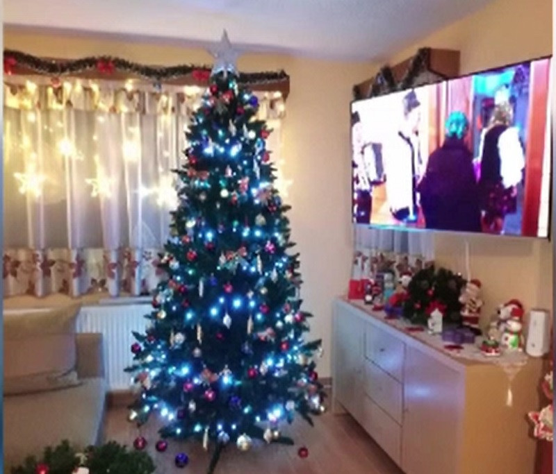 Bradul de Crăciun, o sursă de optimism și alinare în 2020. Românii se pregătesc deja pentru Sărbătorile de iarnă