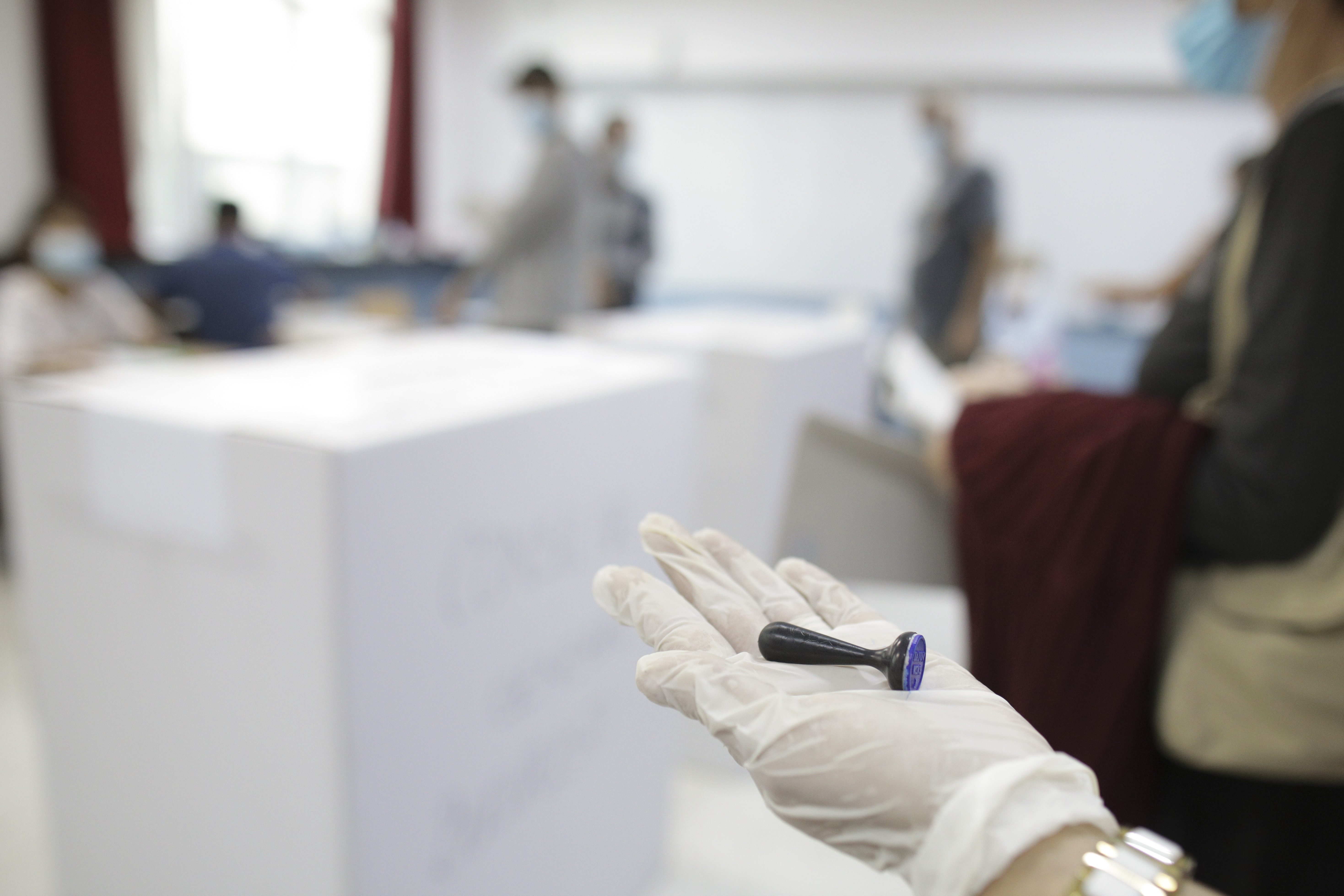 Rezultate finale alegeri parlamentare 2020 Timiș. Lista candidaţilor la Senat şi Camera Deputaţilor